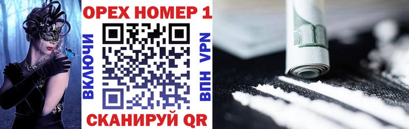 купить наркотик  omg сайт  Cocaine FishScale  Кудрово 